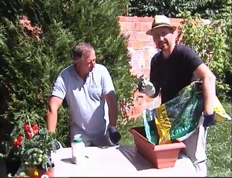 créer  un potager sur son balcon